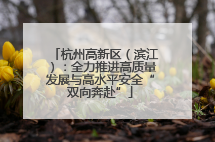 杭州高新区（滨江）：全力推进高质量发展与高水平安全“双向奔赴”